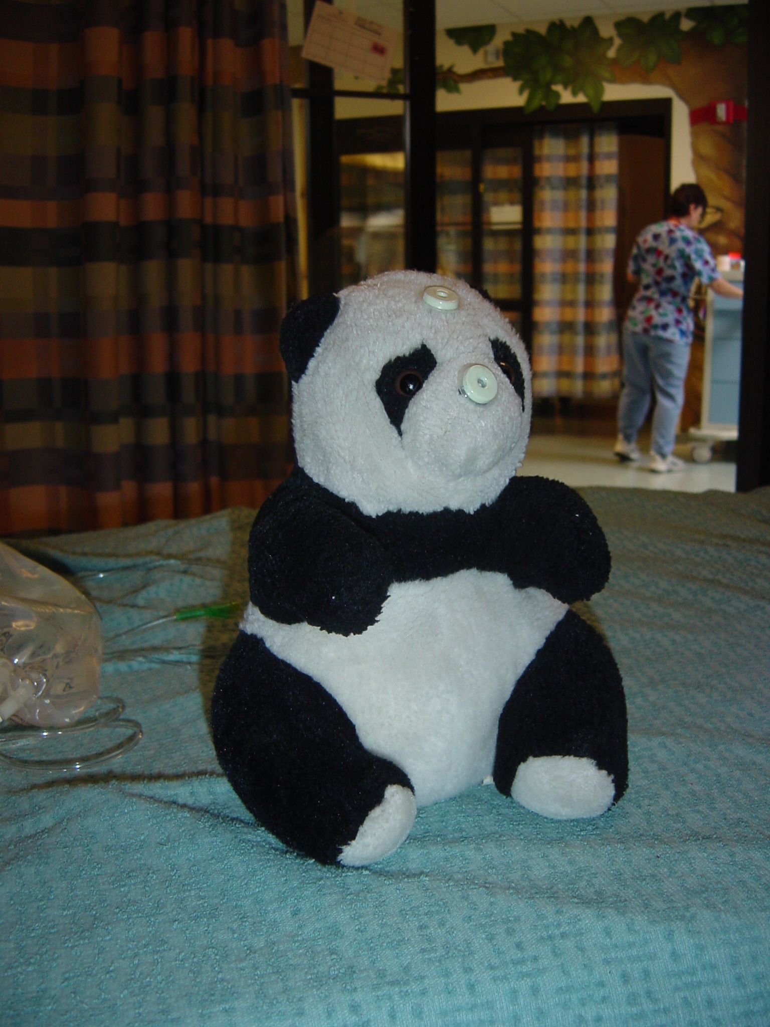 Abby Surgery 017.jpg